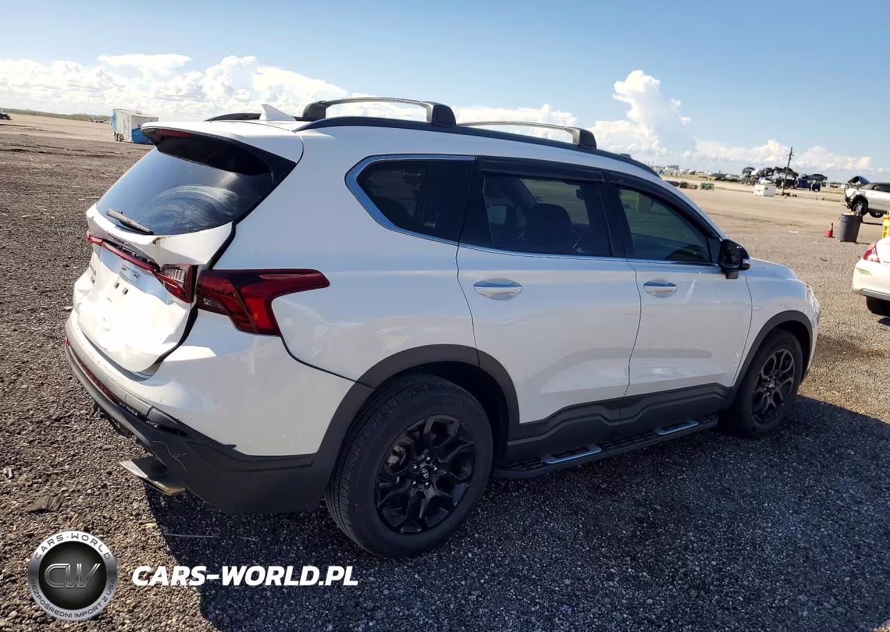 2023 Hyundai Santa Fe Xrt VIN:5NMS64AJ8PH608218 - 3