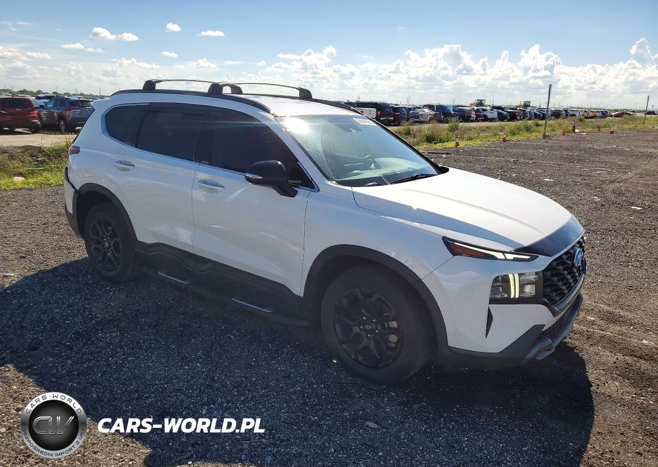 2023 Hyundai Santa Fe Xrt VIN:5NMS64AJ8PH608218 - 4