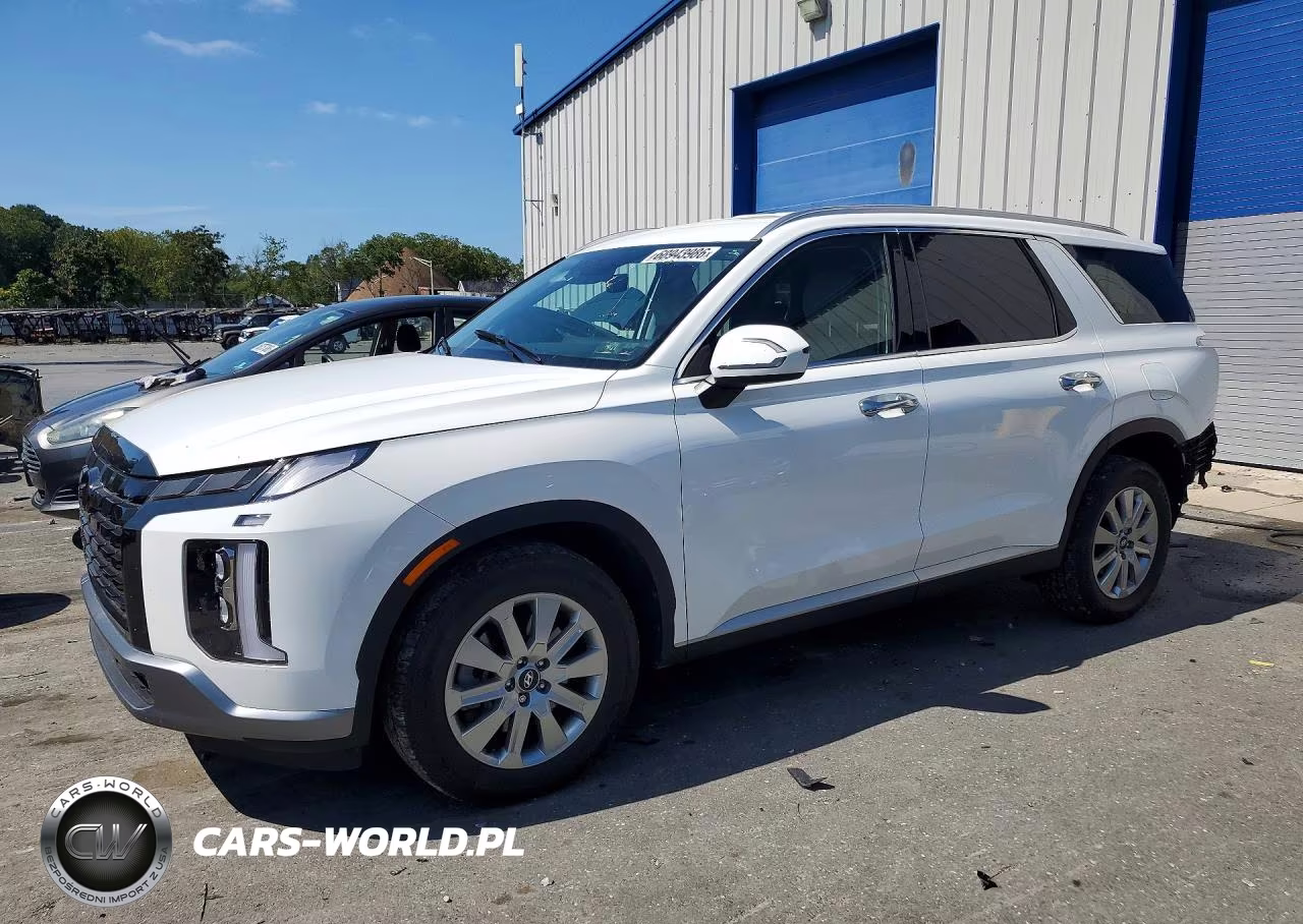 2023 Hyundai Palisade Sel VIN:KM8R2DGE6PU516825 - 1