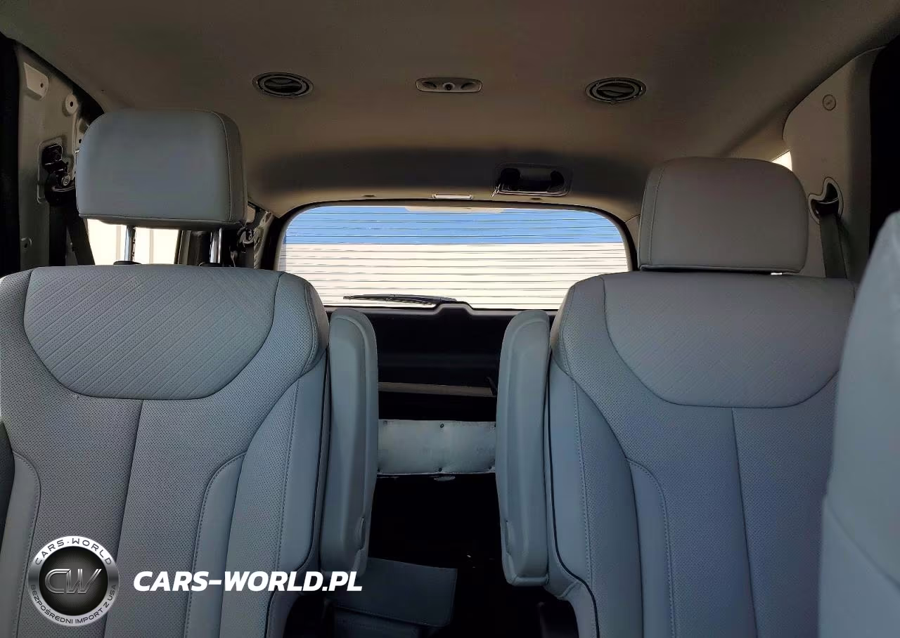2023 Hyundai Palisade Sel VIN:KM8R2DGE6PU516825 - 10