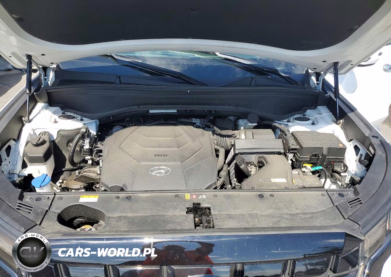 2023 Hyundai Palisade Sel VIN:KM8R2DGE6PU516825 - 12