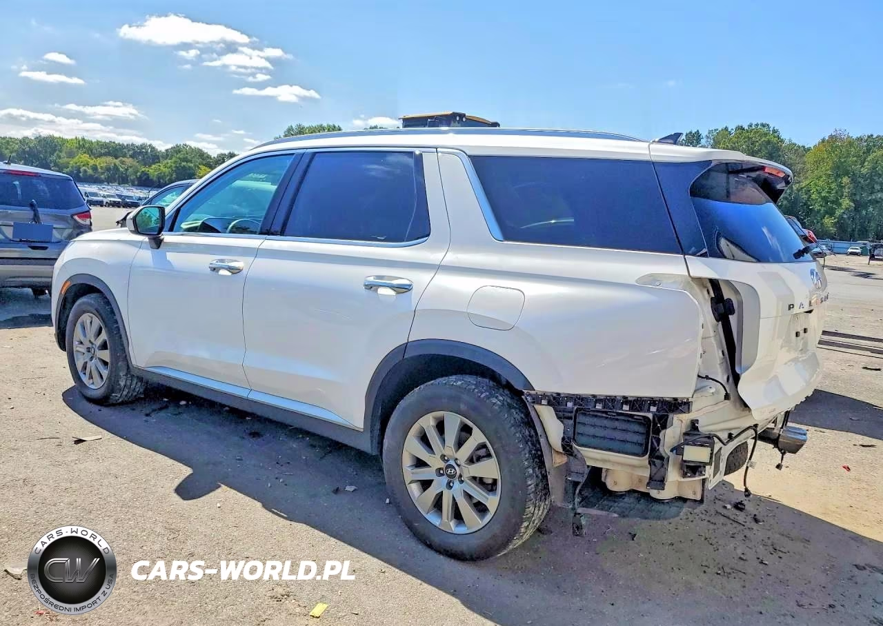 2023 Hyundai Palisade Sel VIN:KM8R2DGE6PU516825 - 2