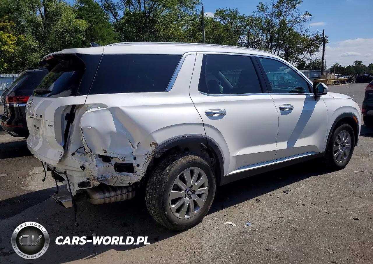 2023 Hyundai Palisade Sel VIN:KM8R2DGE6PU516825 - 3