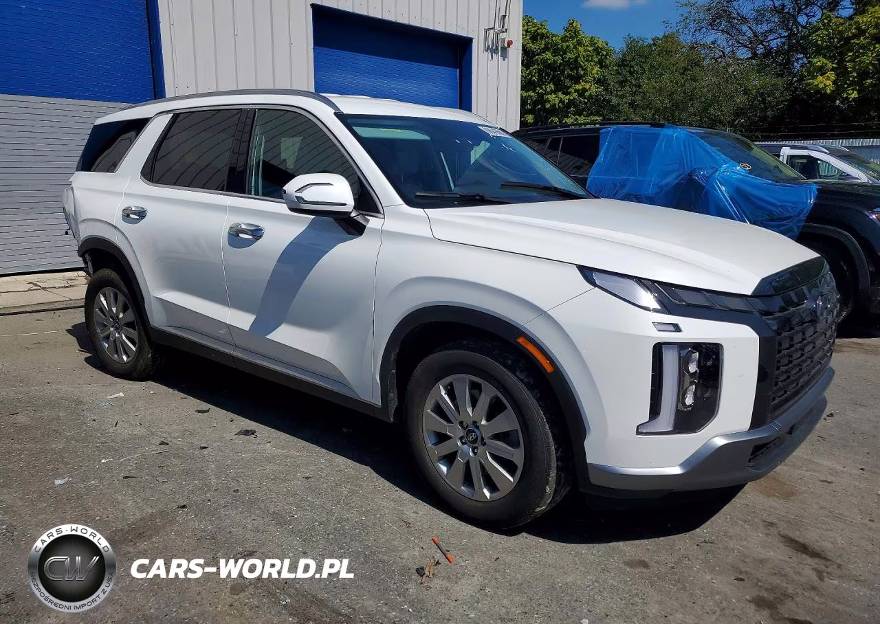 2023 Hyundai Palisade Sel VIN:KM8R2DGE6PU516825 - 4