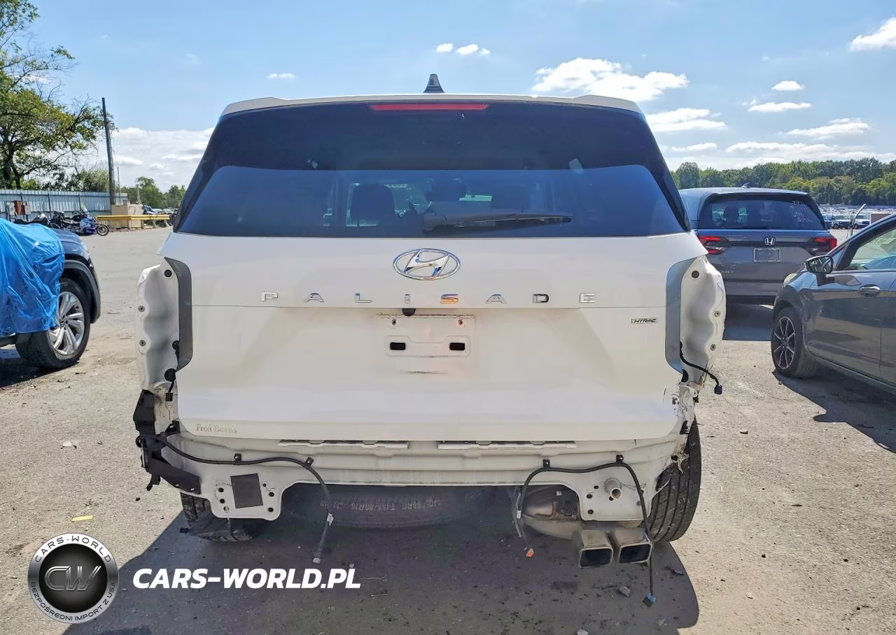 2023 Hyundai Palisade Sel VIN:KM8R2DGE6PU516825 - 6
