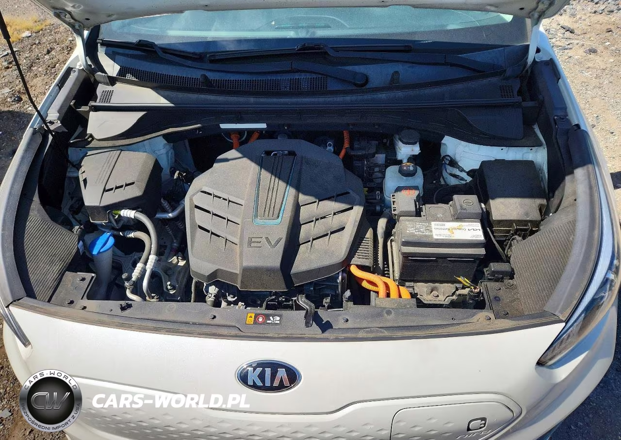 2020 Kia Niro Ex Premium VIN:KNDCE3LG3L5035213 - 12