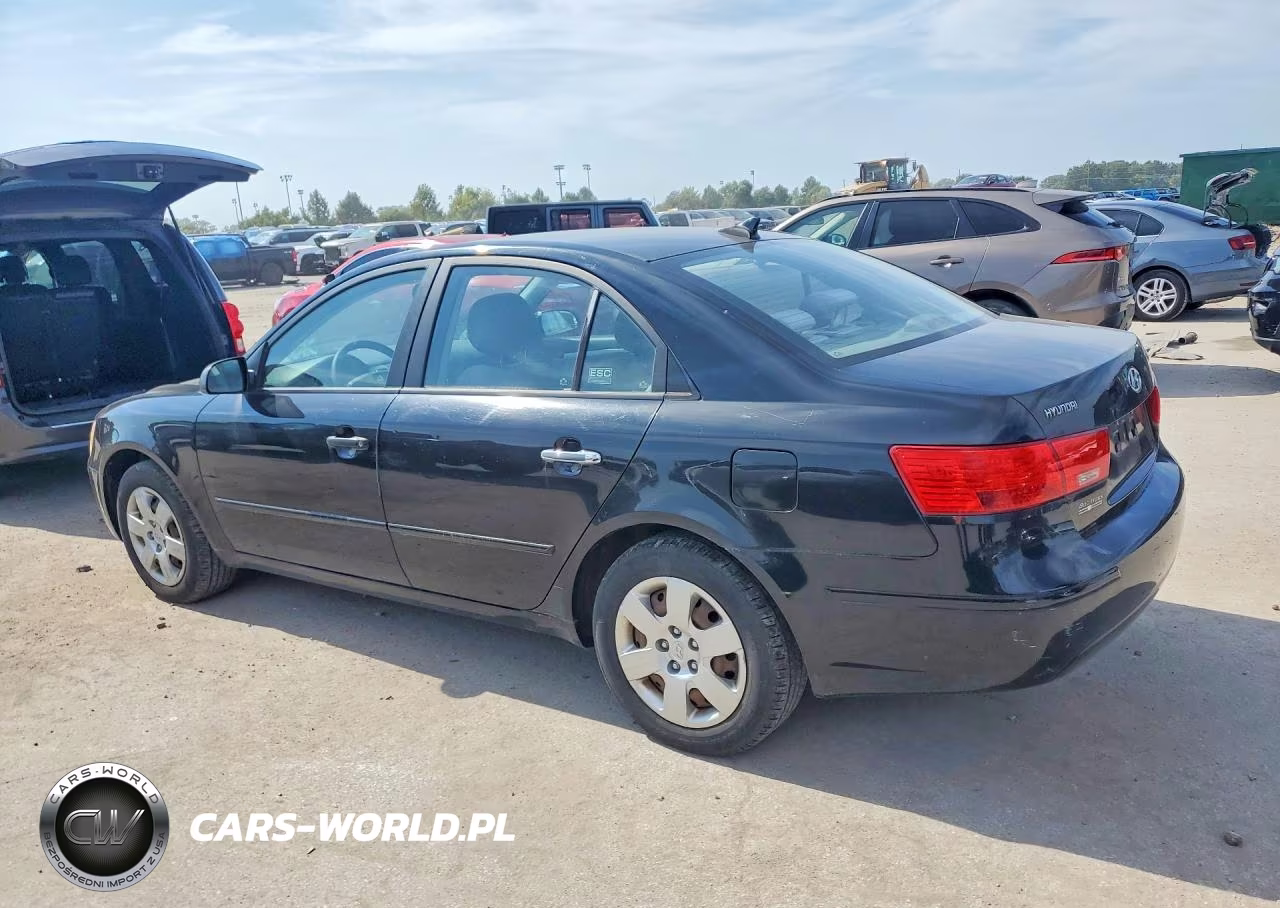 2010 Hyundai Sonata Gls VIN:5NPET4AC7AH603254 - 2