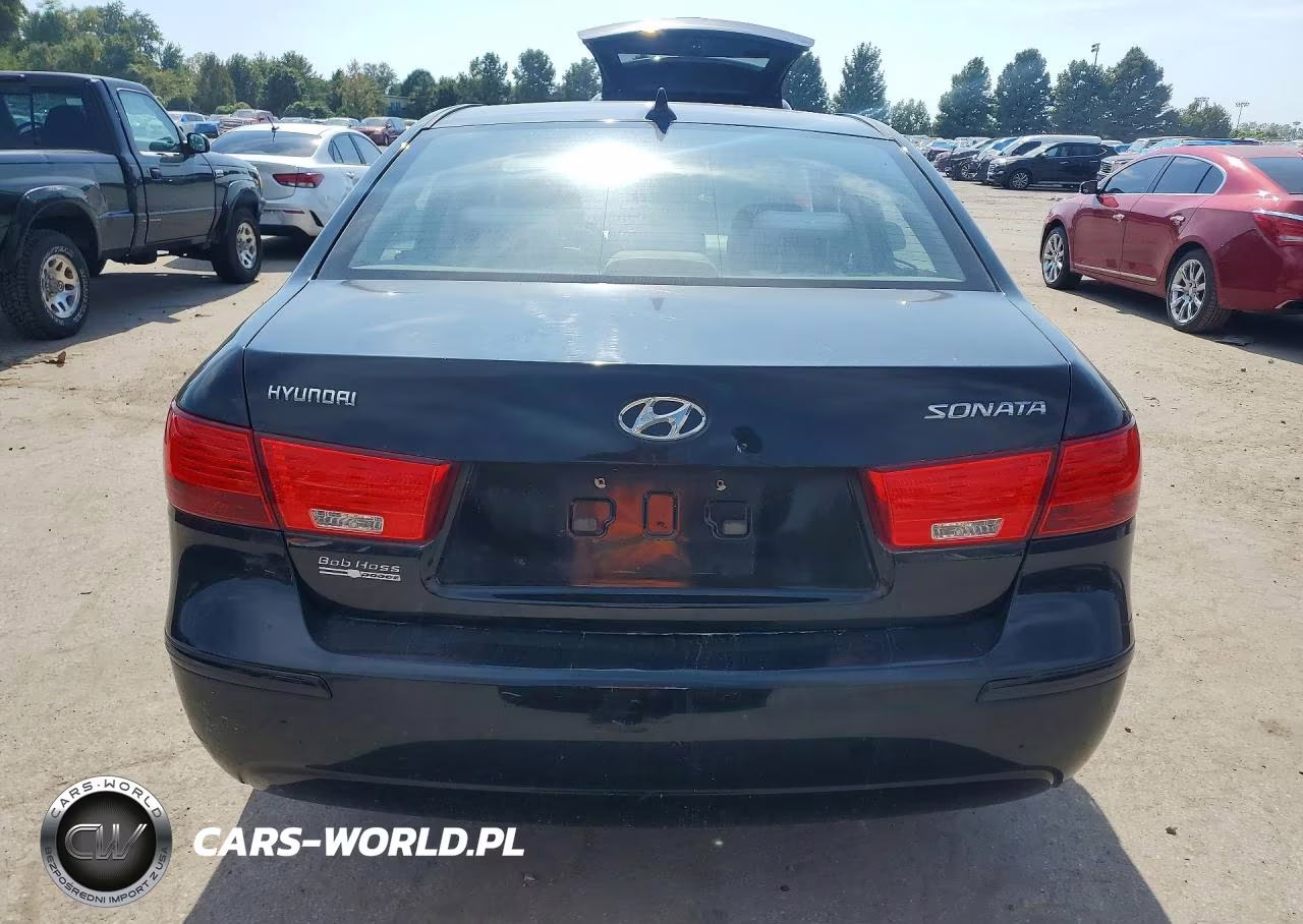 2010 Hyundai Sonata Gls VIN:5NPET4AC7AH603254 - 6