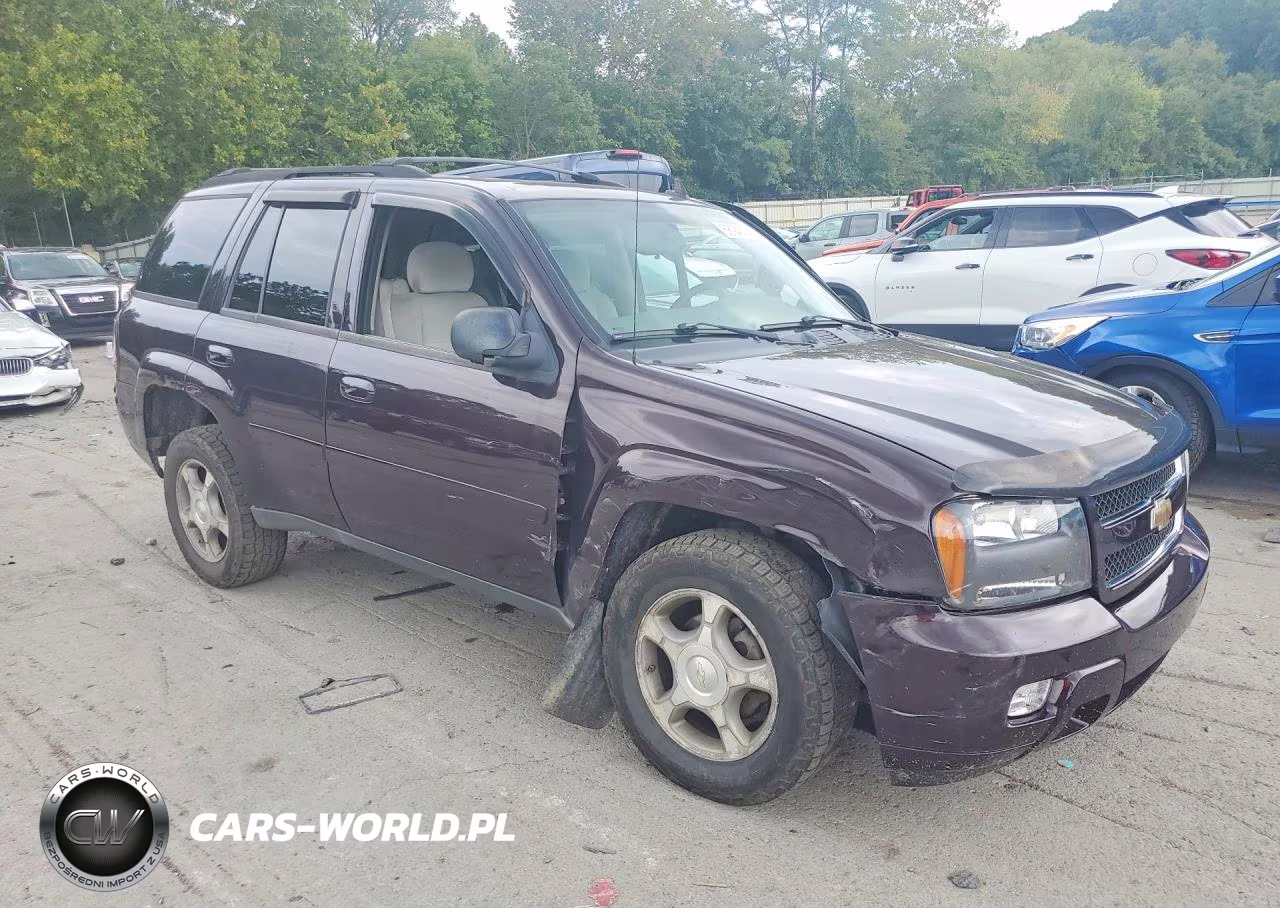 2008 Chevrolet Trailblazer Ls VIN:1GNDT13S982209448 - 4