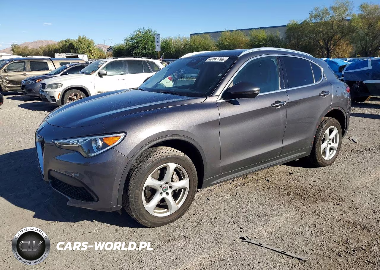 2020 Alfa Romeo Stelvio VIN:ZASPAJAN3L7C93049 - 1