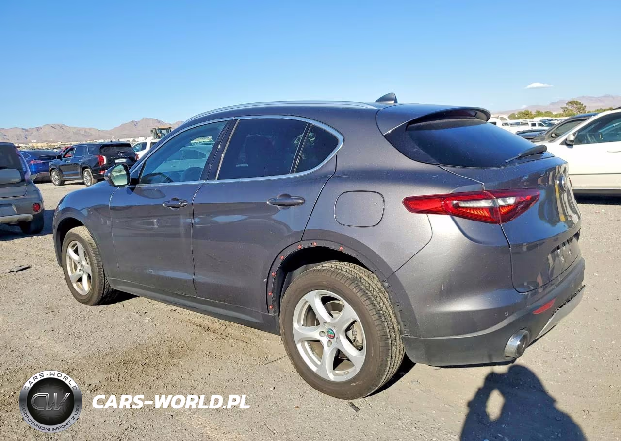 2020 Alfa Romeo Stelvio VIN:ZASPAJAN3L7C93049 - 2