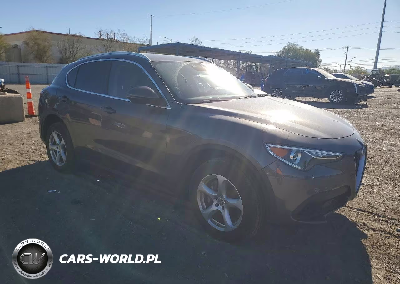 2020 Alfa Romeo Stelvio VIN:ZASPAJAN3L7C93049 - 4