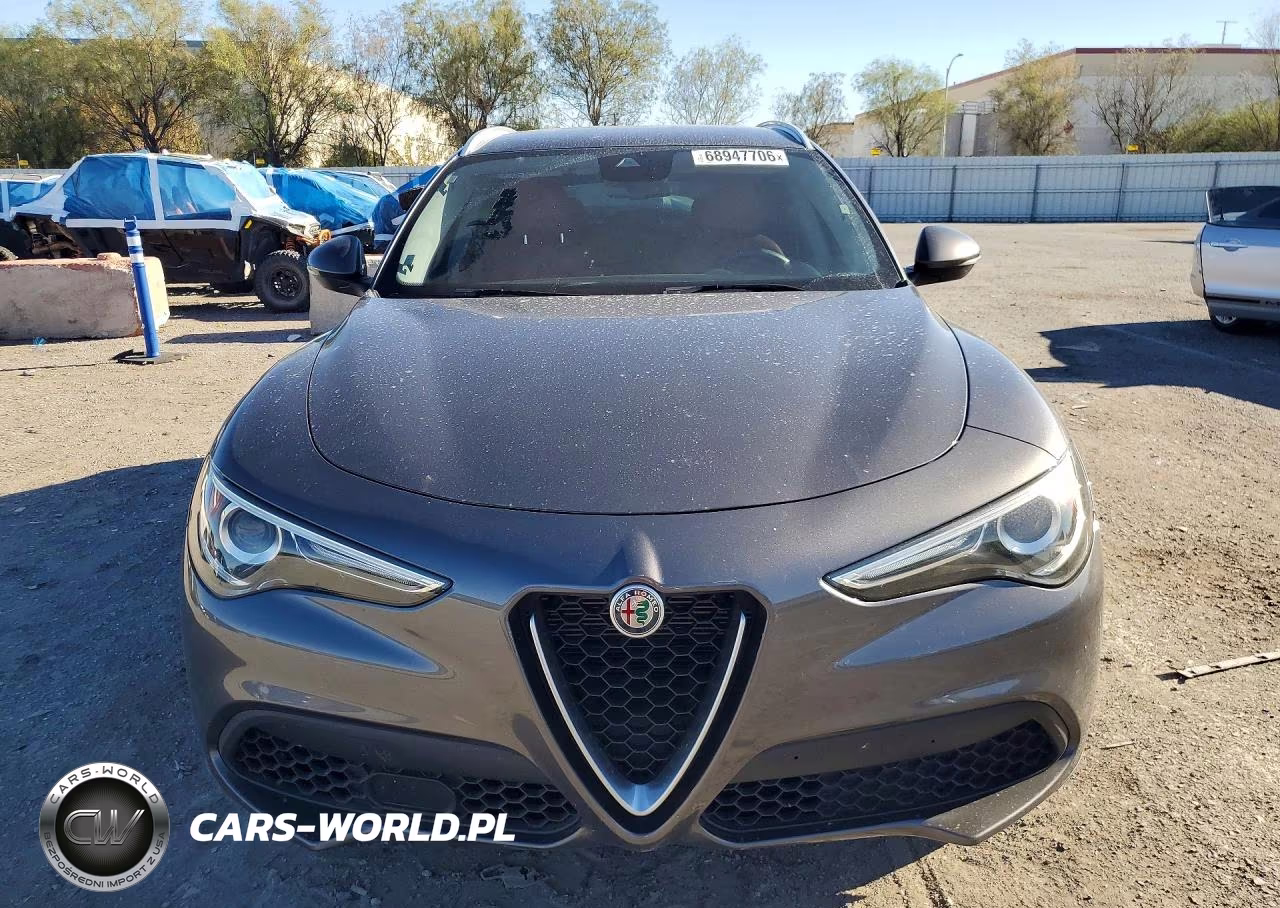 2020 Alfa Romeo Stelvio VIN:ZASPAJAN3L7C93049 - 5