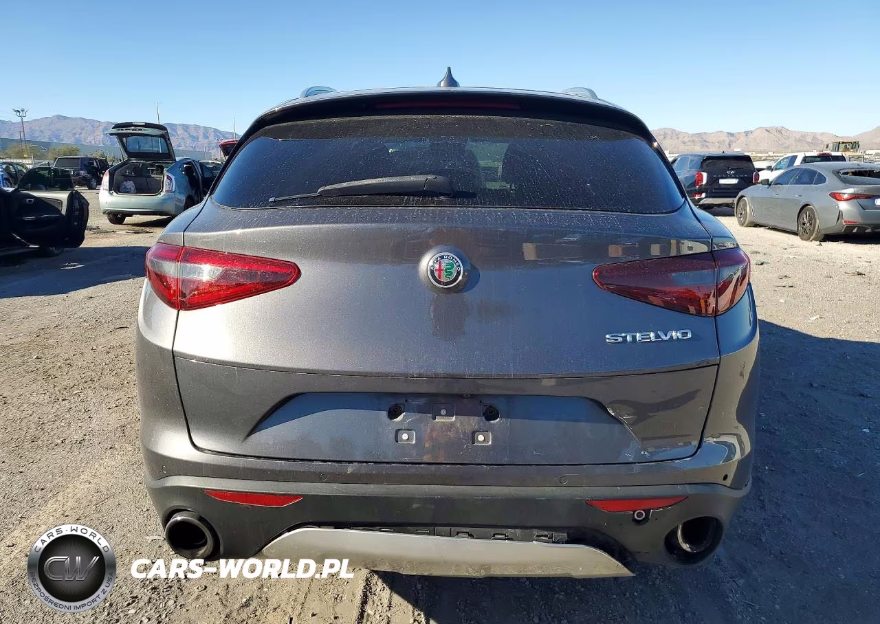 2020 Alfa Romeo Stelvio VIN:ZASPAJAN3L7C93049 - 6