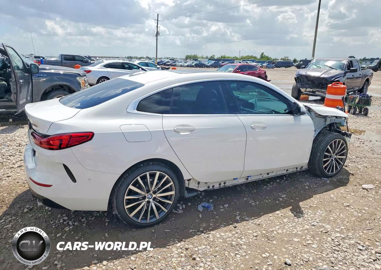 2020 BMW 228Xi VIN:WBA73AK03L7F97827 - 3