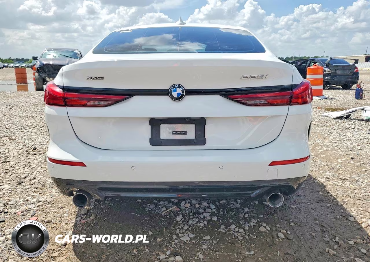 2020 BMW 228Xi VIN:WBA73AK03L7F97827 - 6
