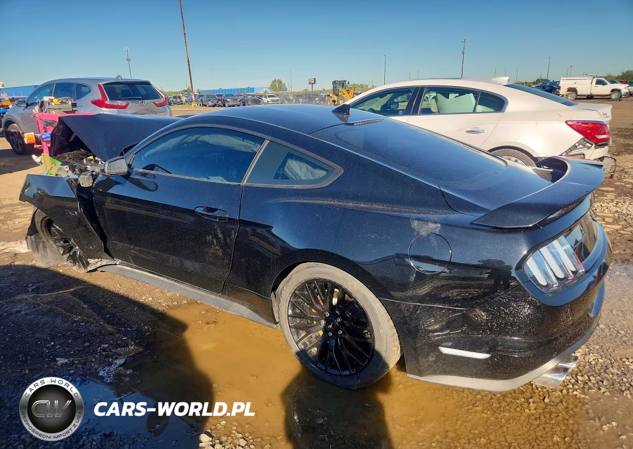 2020 Ford Mustang Gt VIN:1FA6P8CF0L5169565 - 2