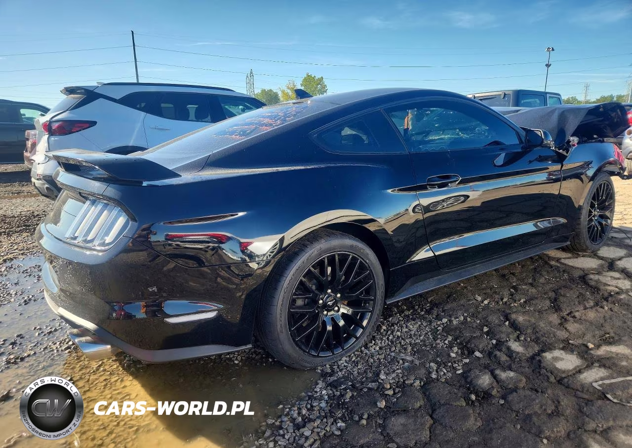 2020 Ford Mustang Gt VIN:1FA6P8CF0L5169565 - 3