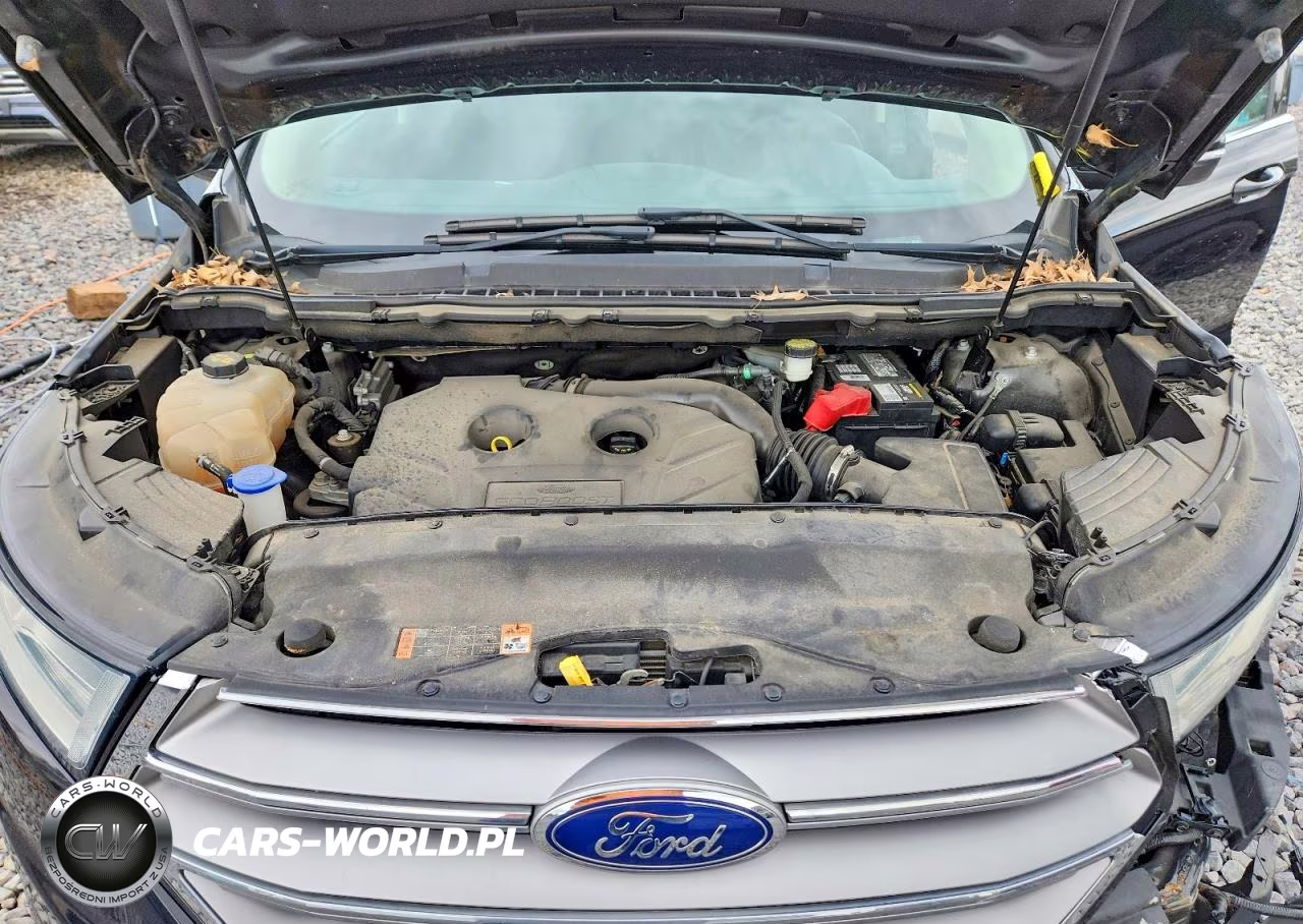 2017 Ford Edge Sel VIN:2FMPK4J93HBC57673 - 12