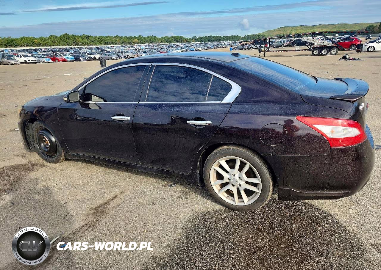 2010 Niss Maxima 3.5 VIN:1N4AA5AP3AC874231 - 2