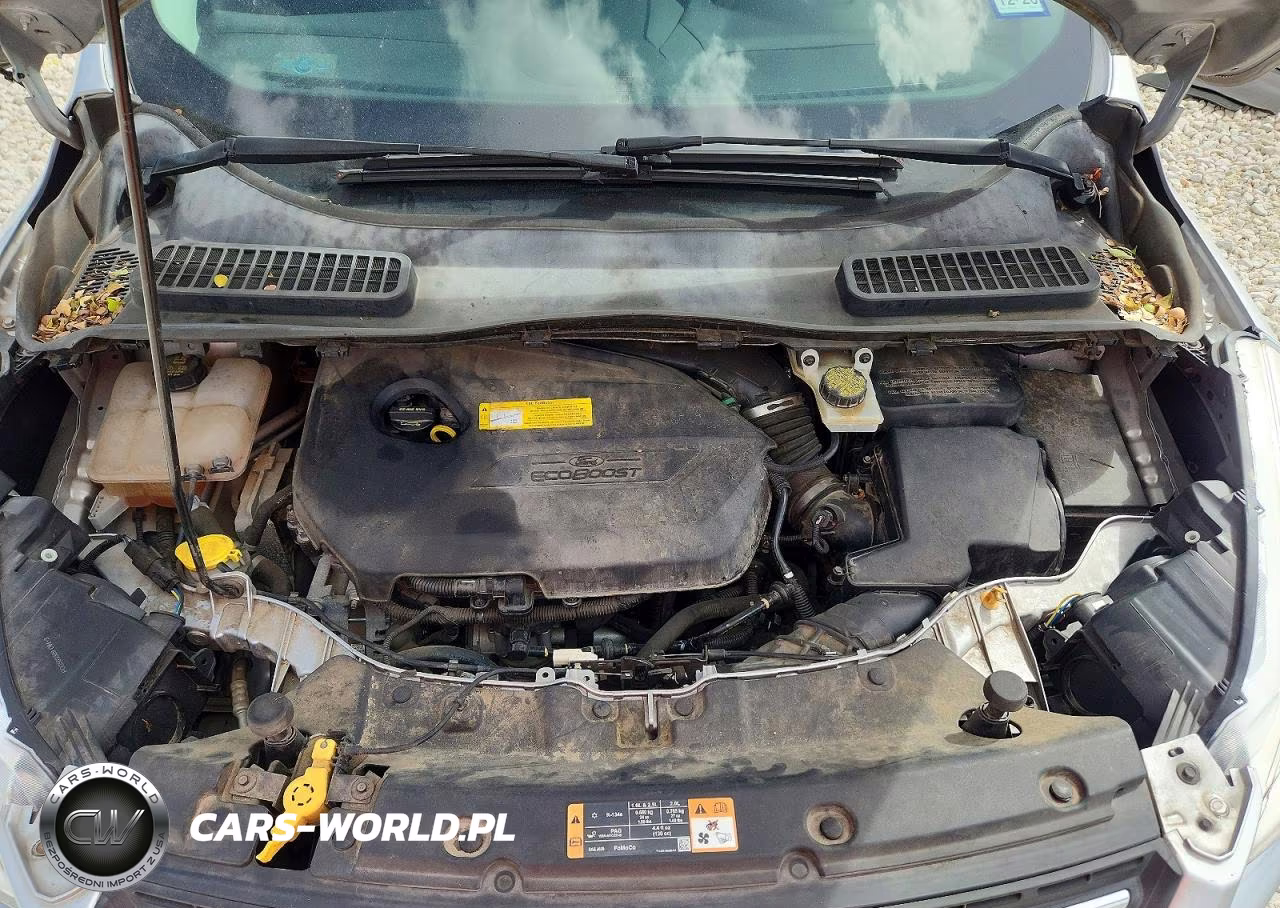 2015 Ford Escape Se VIN:1FMCU0GX6FUA91115 - 12