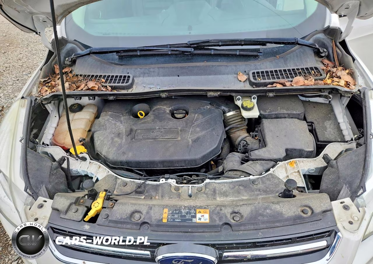 2016 Ford Escape Titanium VIN:1FMCU9J91GUB18317 - 12
