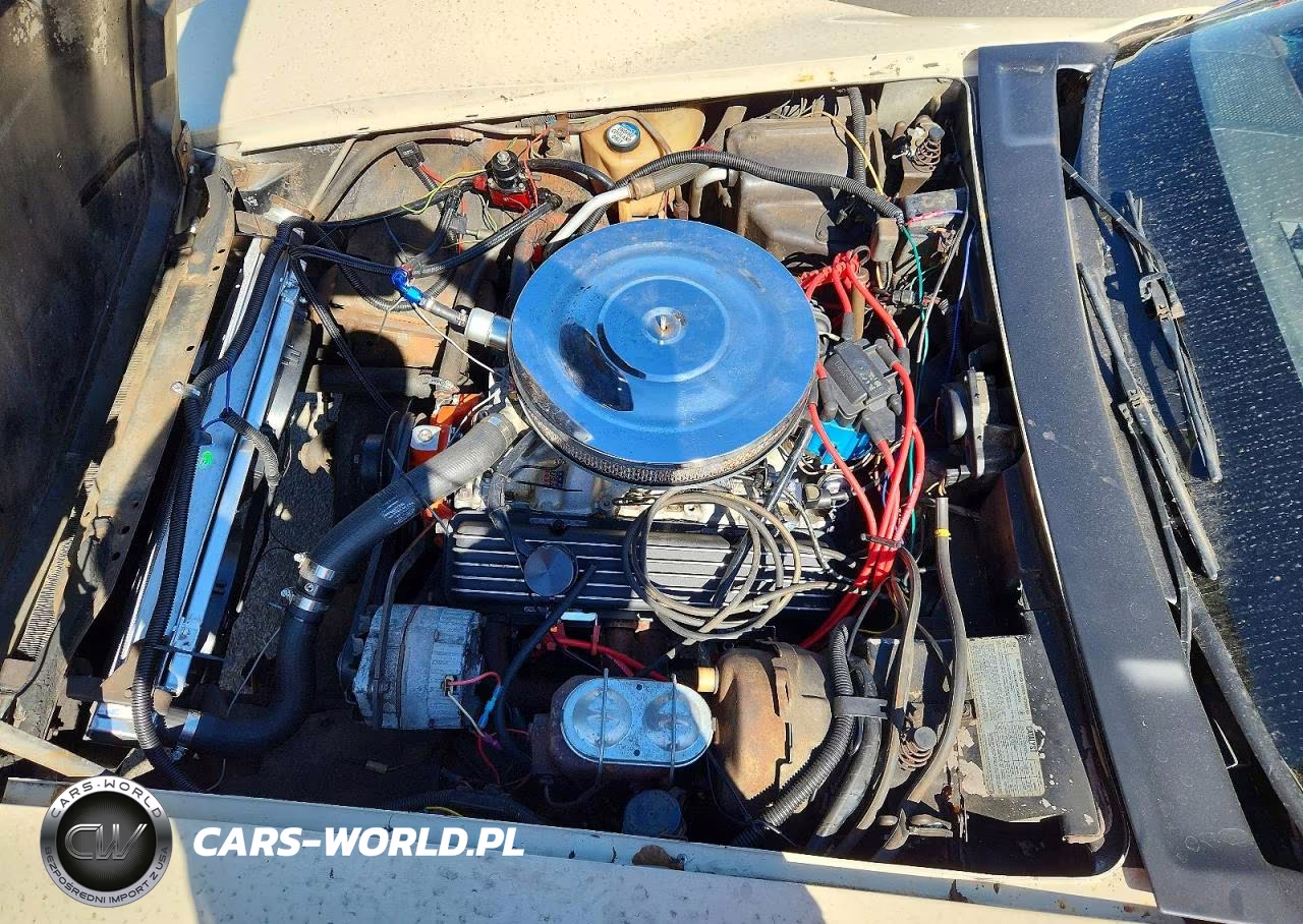 1978 Chevrolet Corvette VIN:1Z87L8S432258 - 11