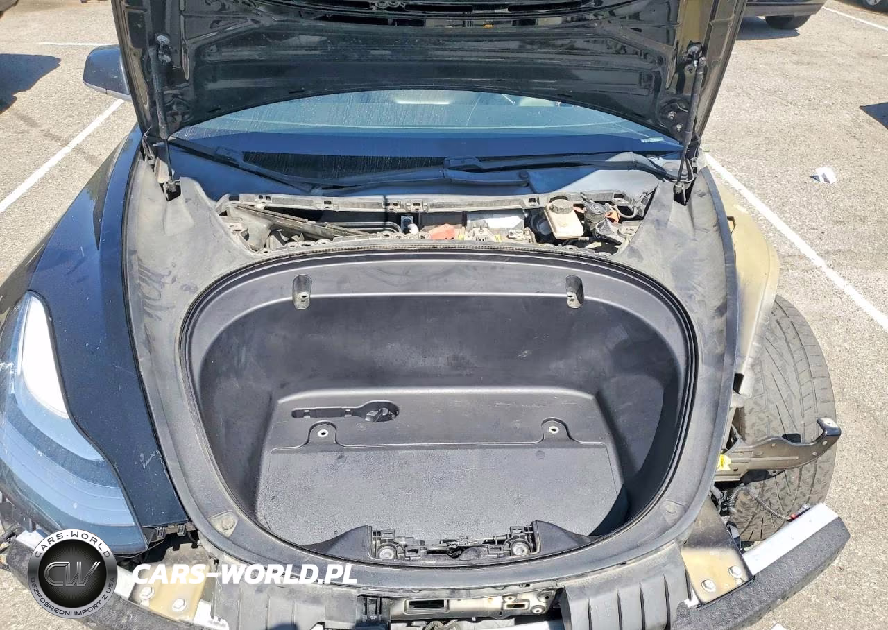 2020 Tesla Model 3 VIN:5YJ3E1EA5LF629989 - 11