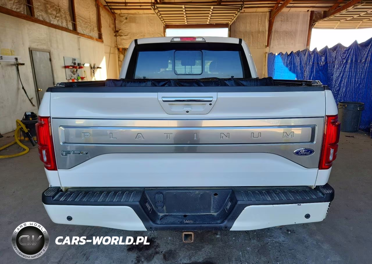 2015 Ford F150 Supercrew VIN:1FTEW1EG2FFB66980 - 6