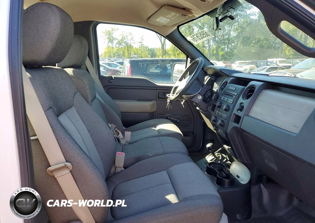 2009 Ford F150 VIN:1FTRF14W89KB36338 - 10