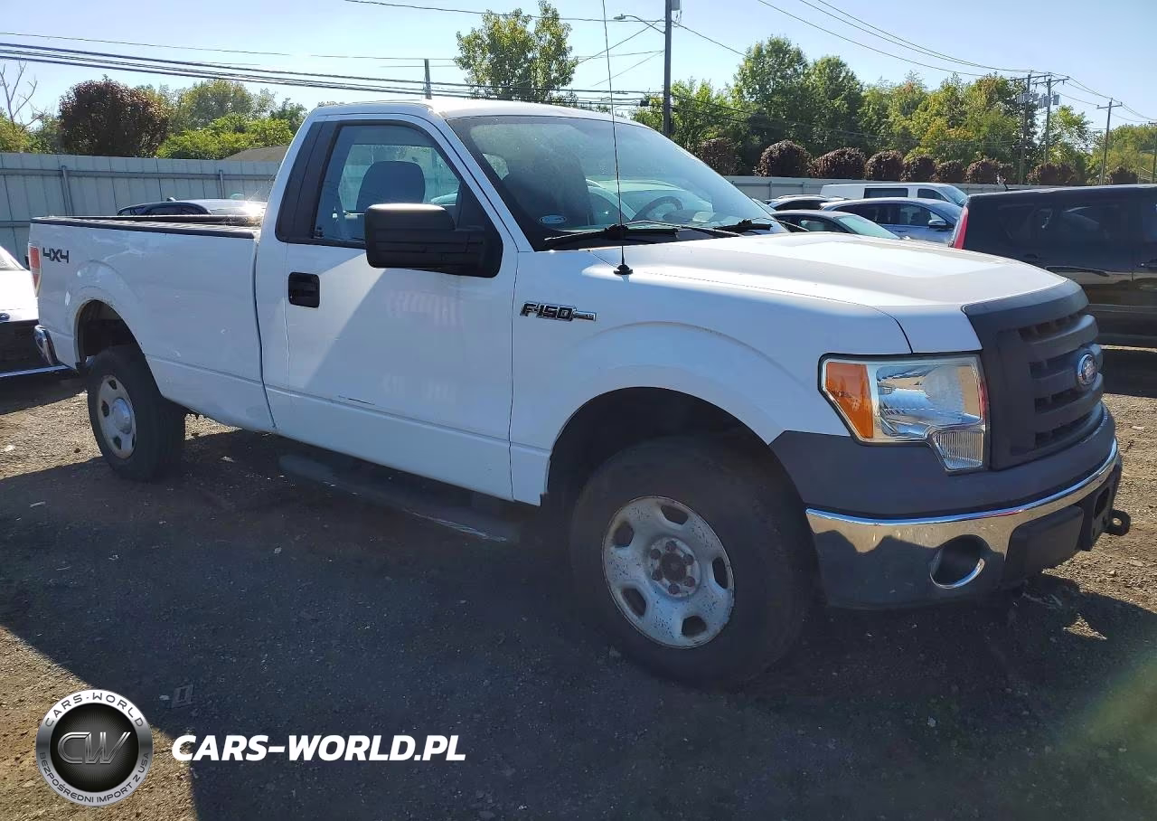 2009 Ford F150 VIN:1FTRF14W89KB36338 - 4