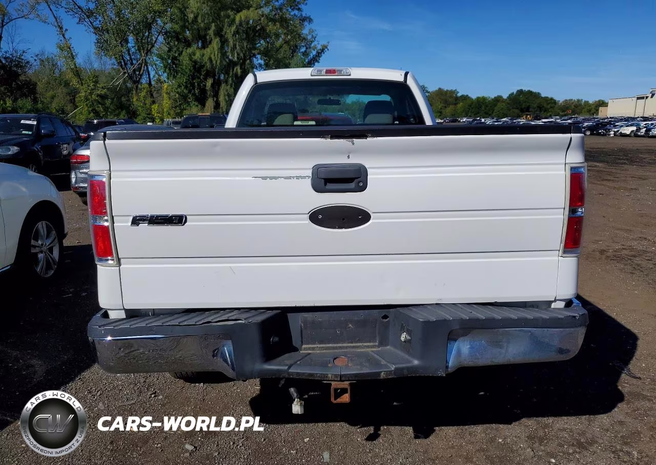 2009 Ford F150 VIN:1FTRF14W89KB36338 - 6