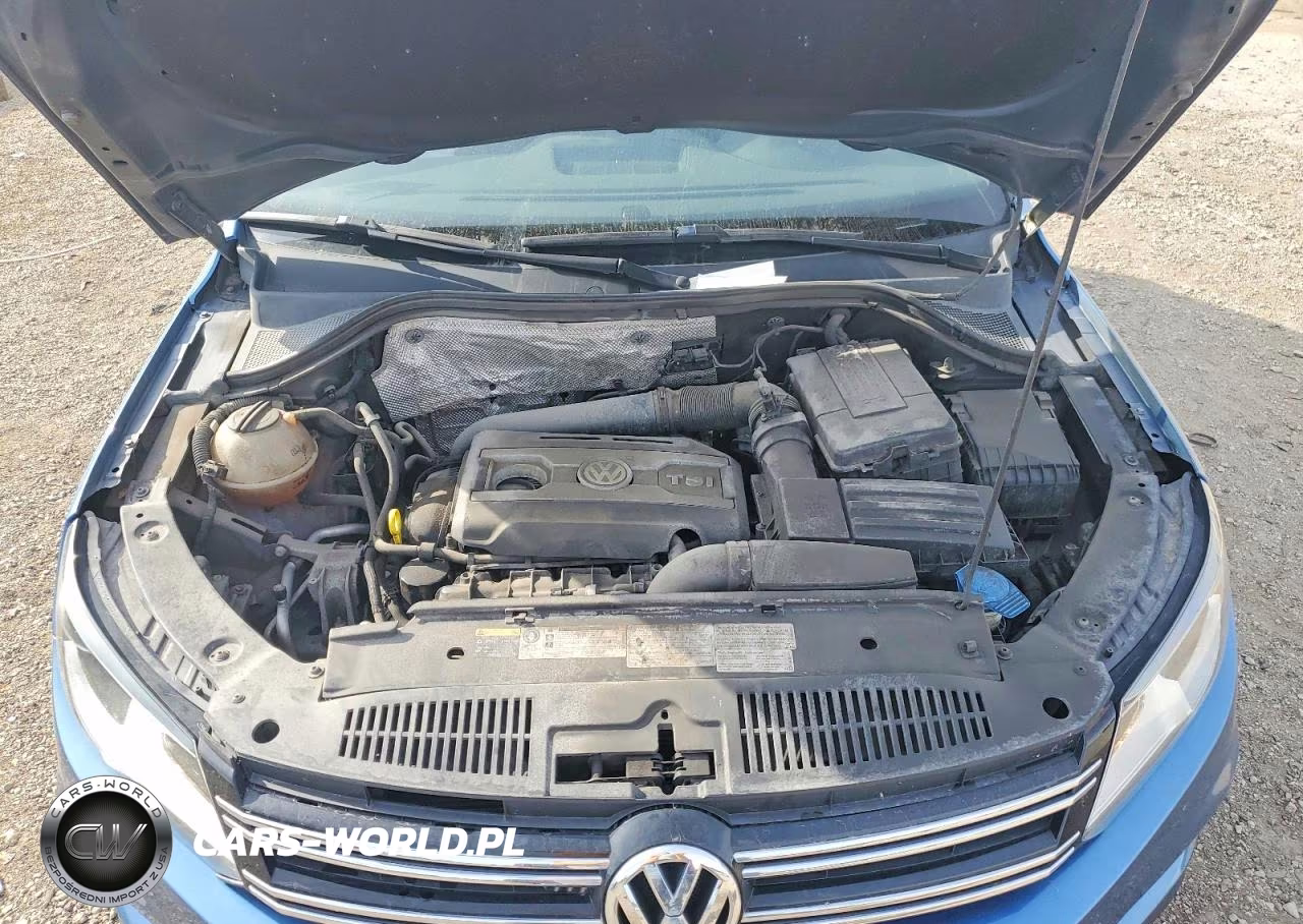 2017 Volkswagen Tiguan S VIN:WVGBV7AX8HW501981 - 12
