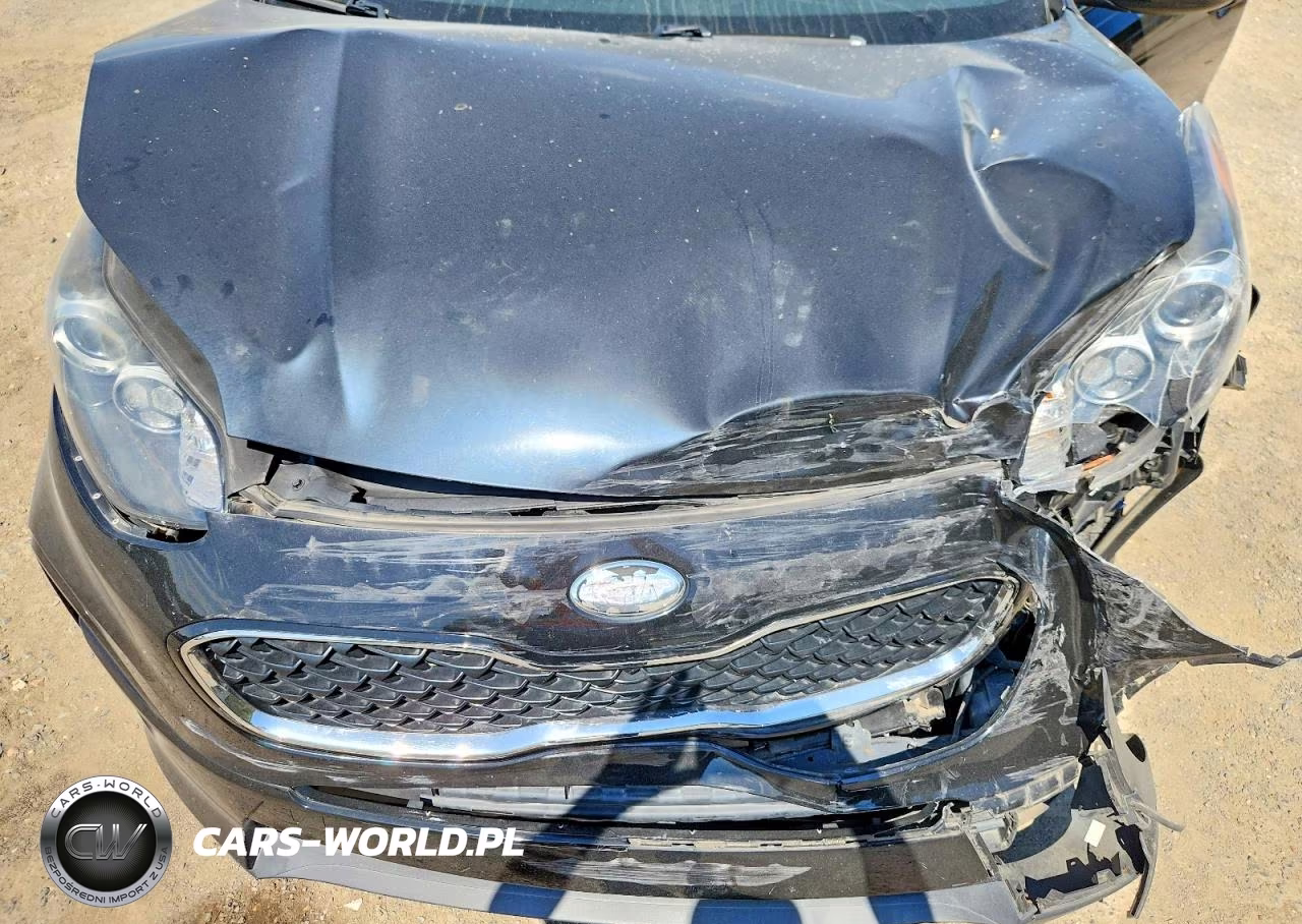 2020 Kia Sportage Lx VIN:KNDPM3AC8L7687382 - 12