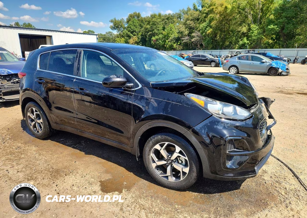 2020 Kia Sportage Lx VIN:KNDPM3AC8L7687382 - 4