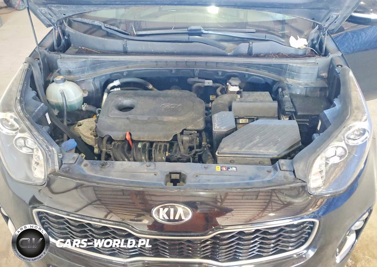 2019 Kia Sportage Ex VIN:KNDPN3AC4K7568806 - 12