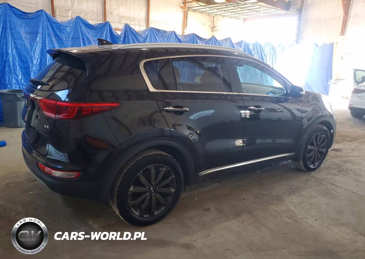 2019 Kia Sportage Ex VIN:KNDPN3AC4K7568806 - 3