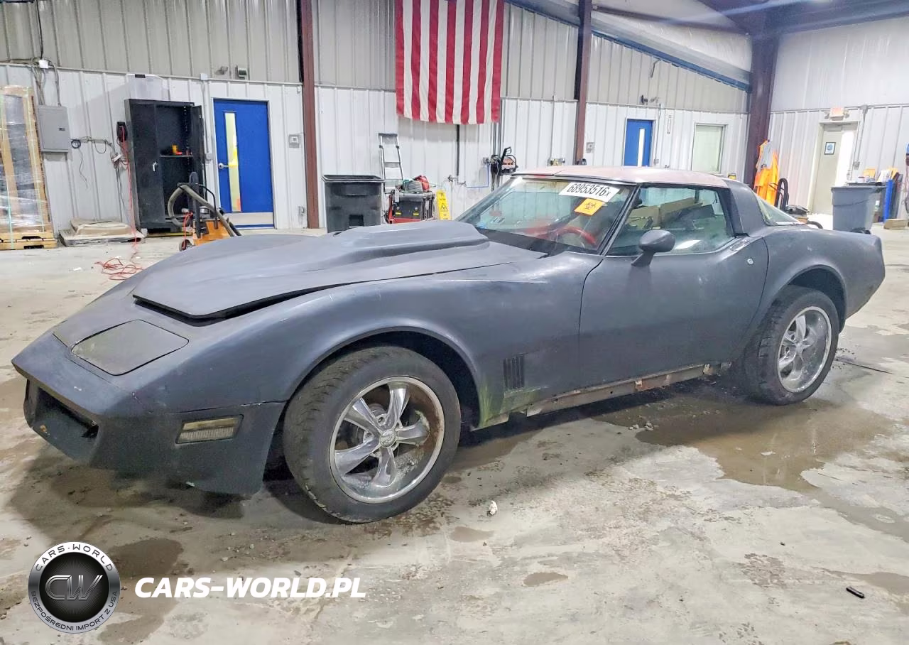1981 Chevrolet Corvette VIN:1G1AY8768B5102490 - 1