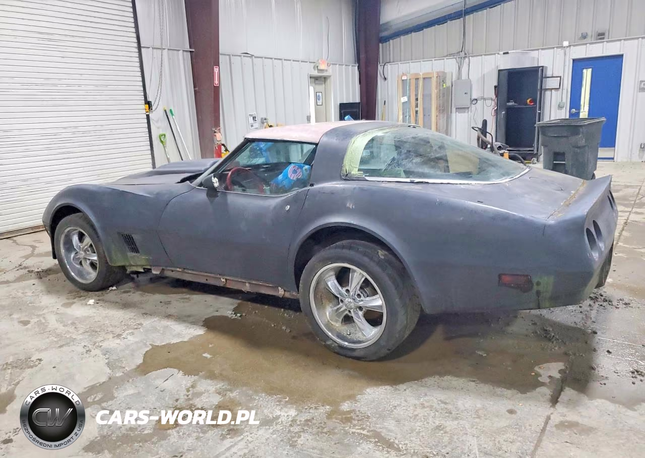 1981 Chevrolet Corvette VIN:1G1AY8768B5102490 - 2
