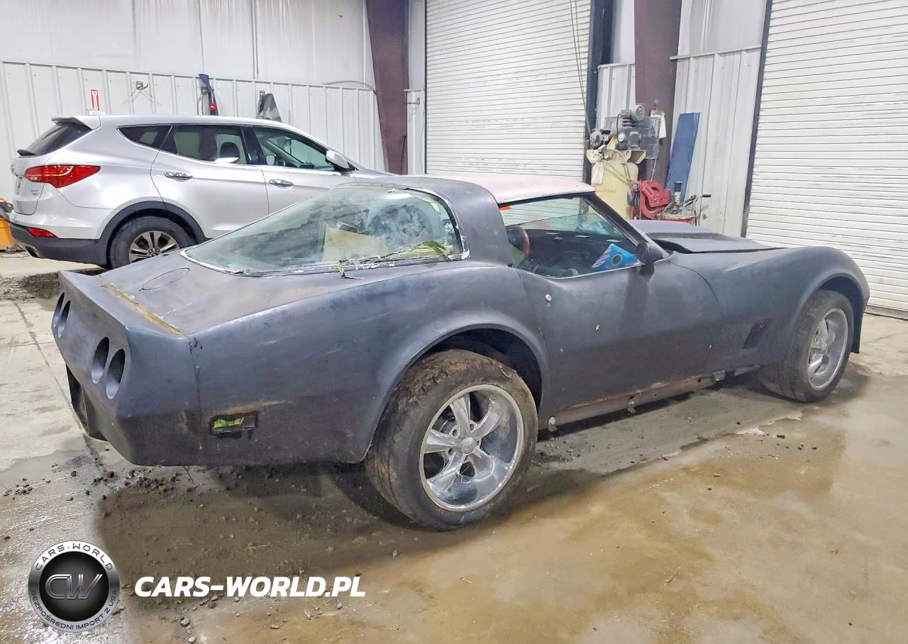 1981 Chevrolet Corvette VIN:1G1AY8768B5102490 - 3
