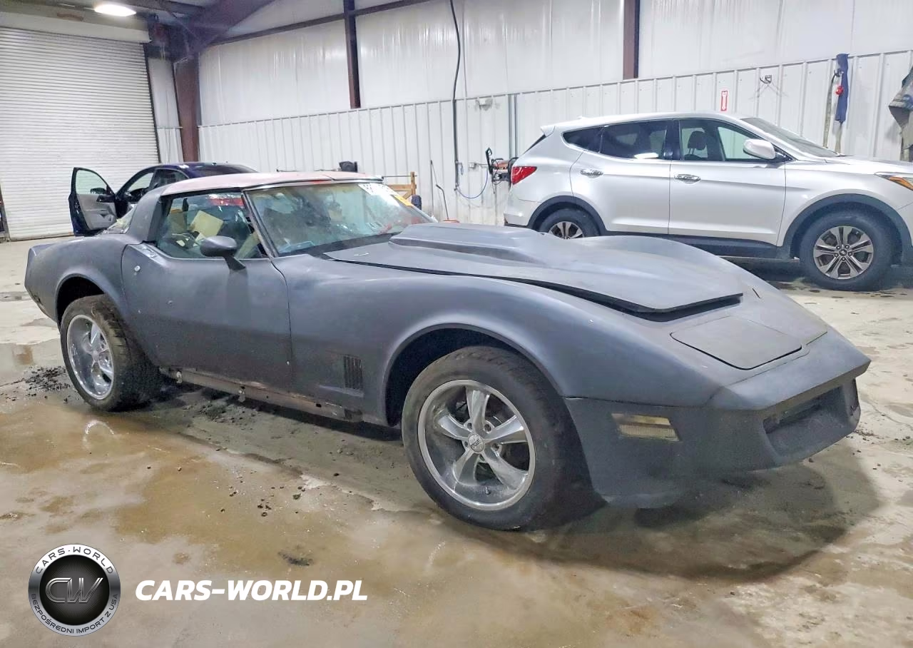 1981 Chevrolet Corvette VIN:1G1AY8768B5102490 - 4