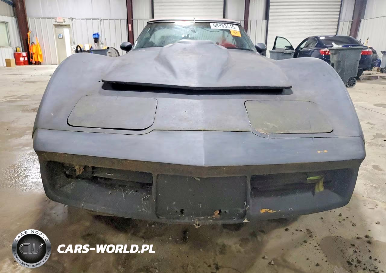 1981 Chevrolet Corvette VIN:1G1AY8768B5102490 - 5