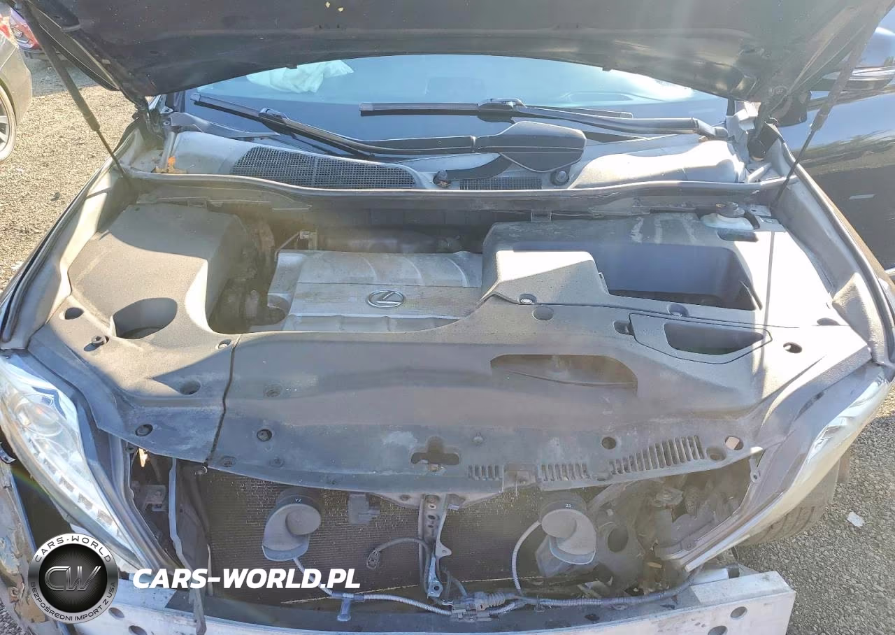 2010 Lexus Rx 350 VIN:JTJBK1BA6A2404096 - 12