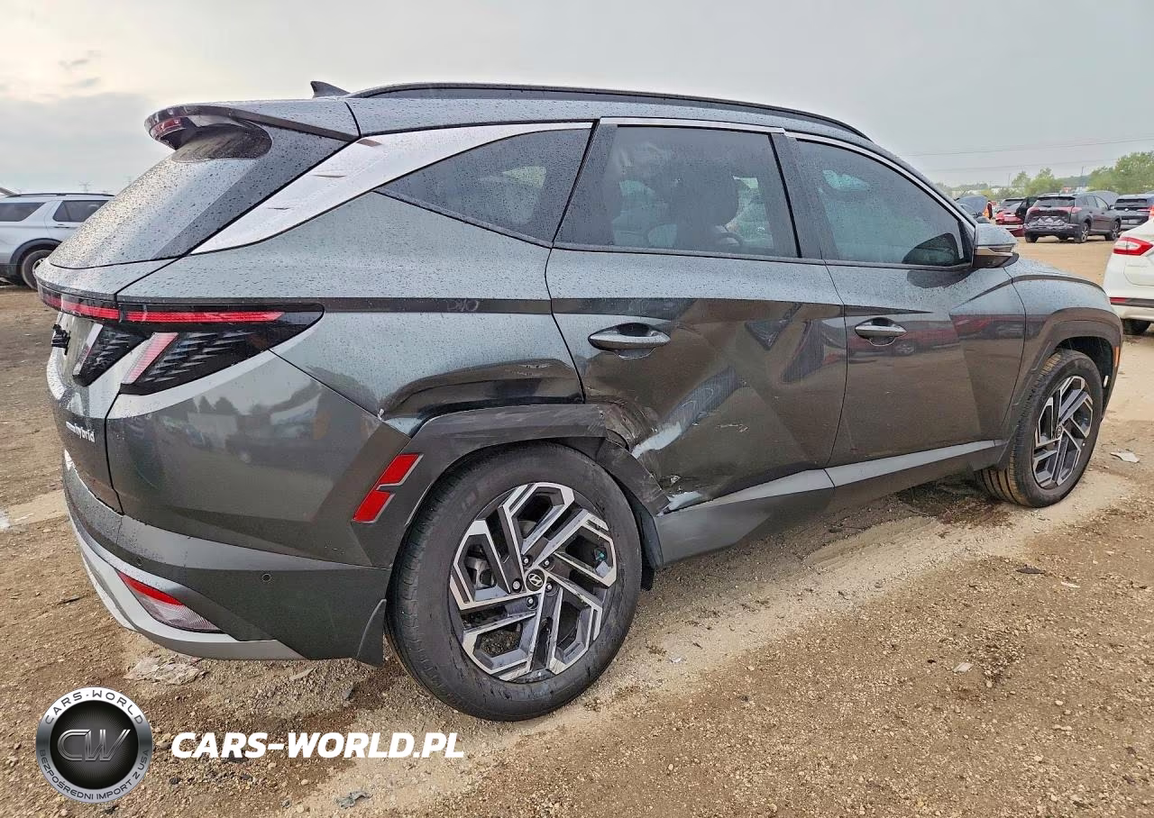 2025 Hyundai Tucson Limited VIN:KM8JEDD17SU332900 - 3