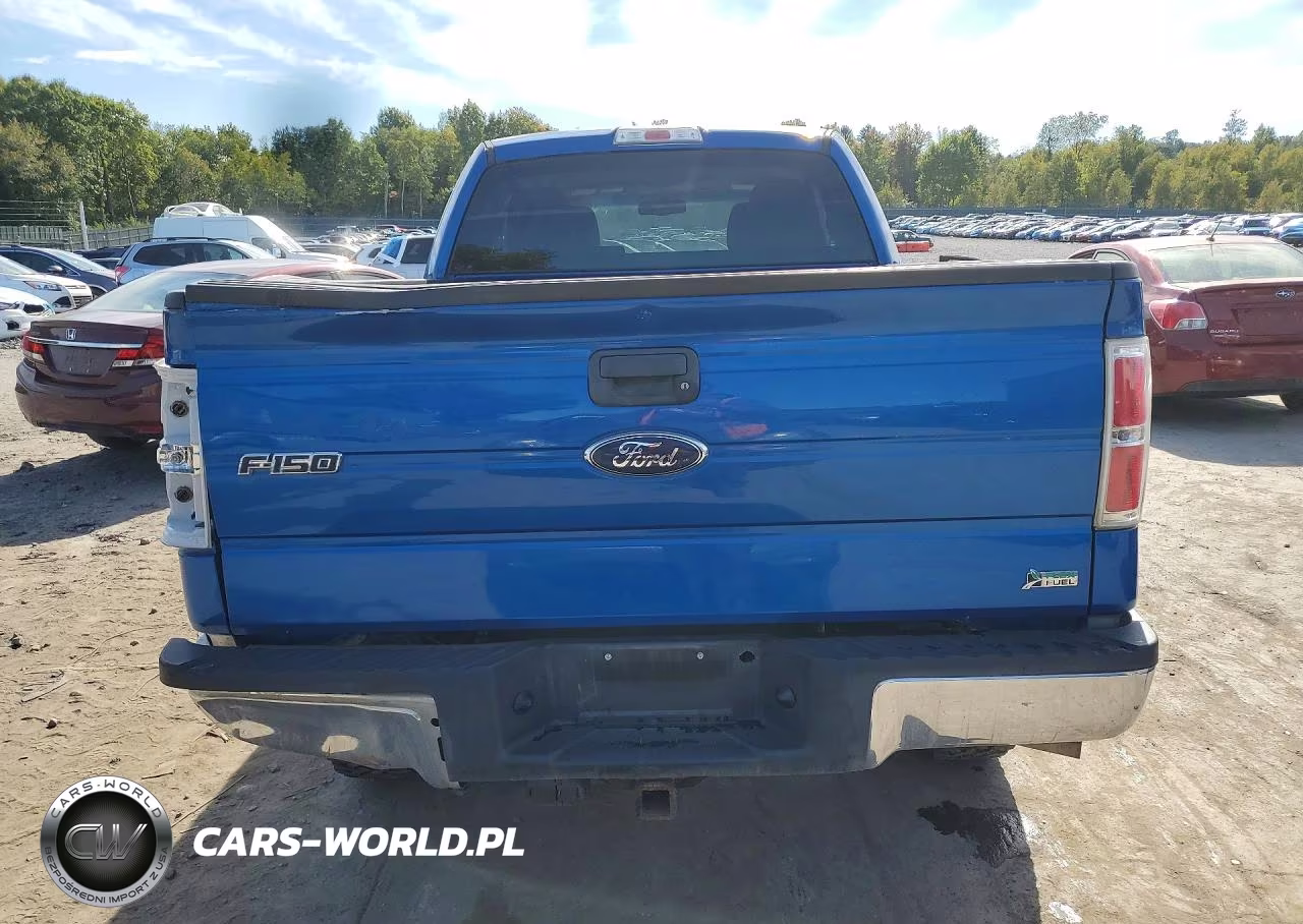2010 Ford F150 Super Cab VIN:1FTFX1EV4AKE80680 - 6