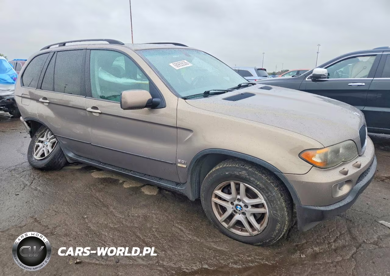 2006 BMW X5 3.0I VIN:5UXFA13526LY33812 - 4