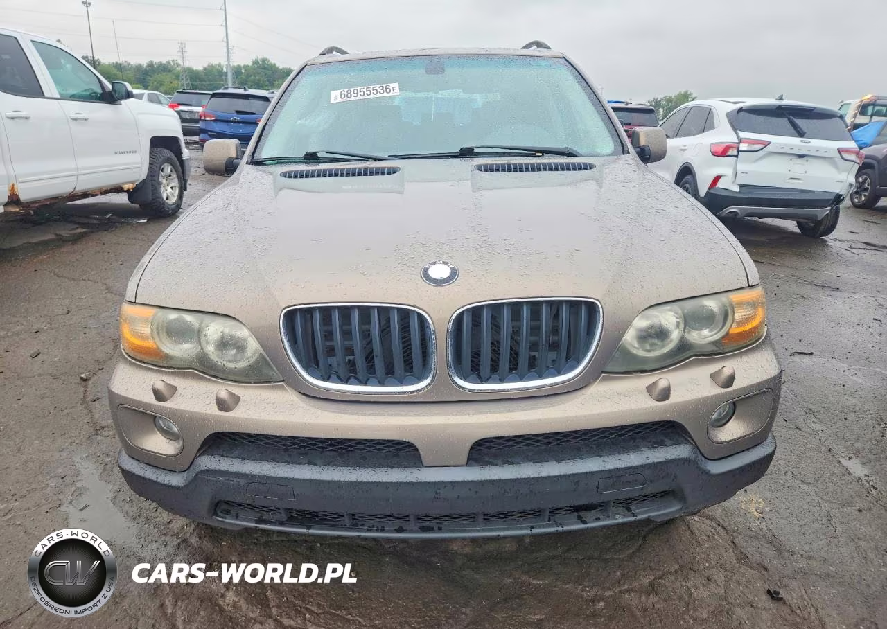 2006 BMW X5 3.0I VIN:5UXFA13526LY33812 - 5