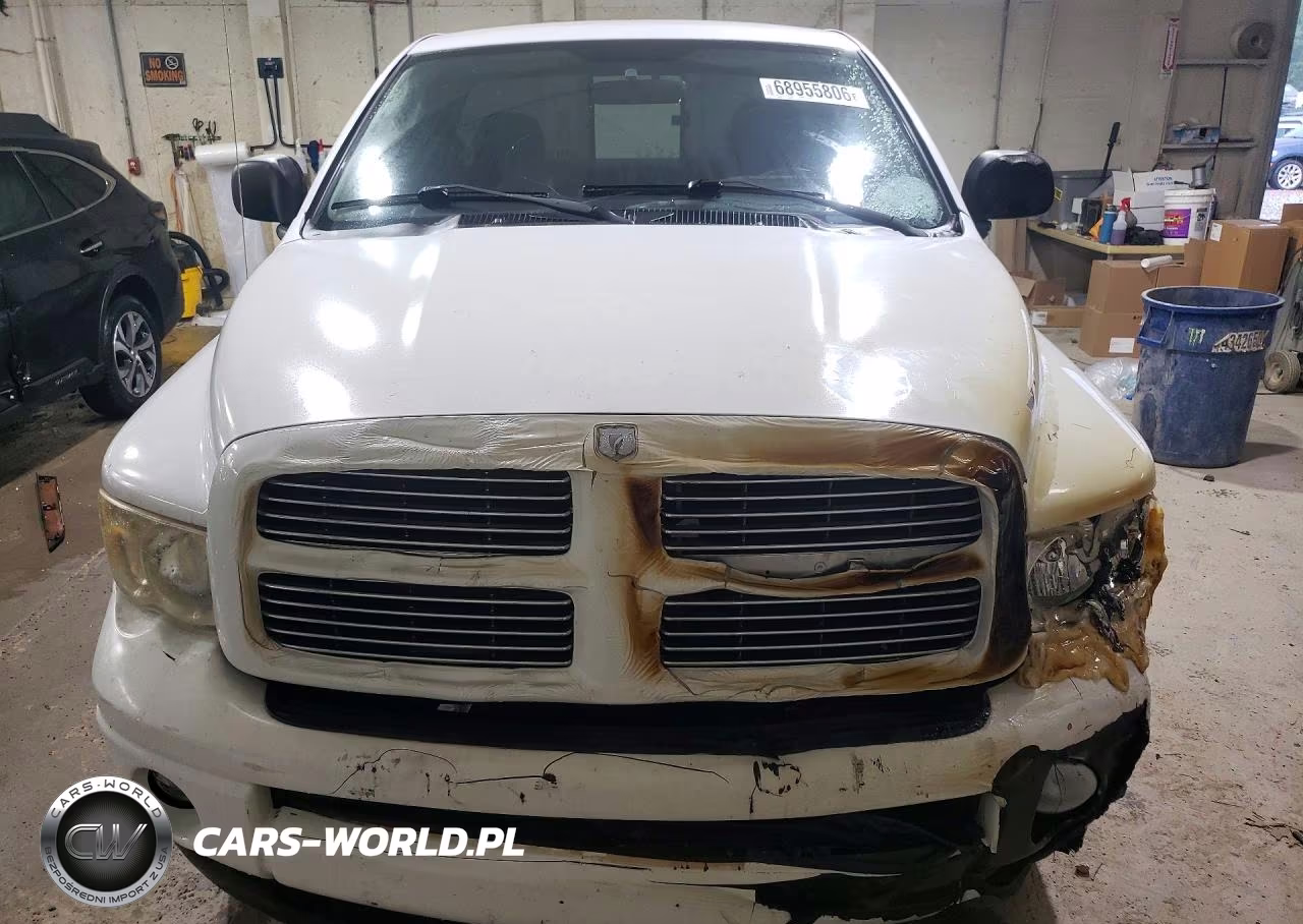 2003 Dodge Ram 1500 St VIN:1D7HU16N03J548746 - 5