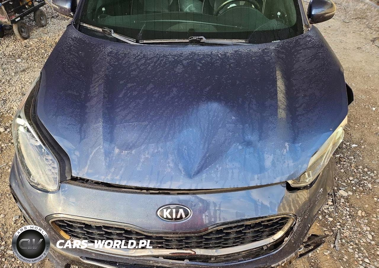 2021 Kia Sportage Sx VIN:KNDPR3A64M7848999 - 12