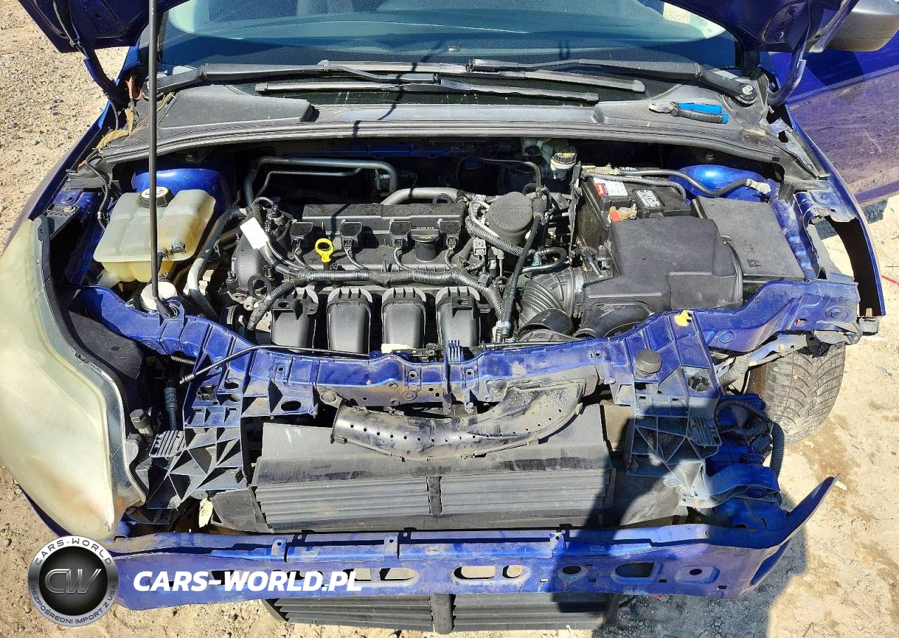 2012 Ford Focus S VIN:1FAHP3E27CL254260 - 11